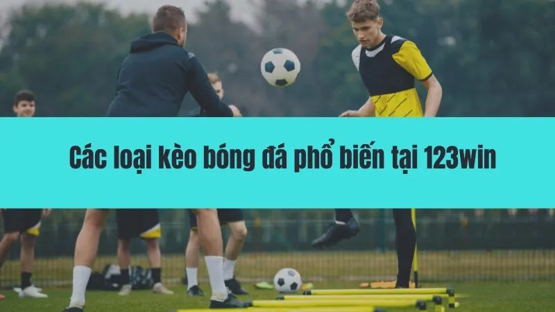 cách đọc kèo bóng đá