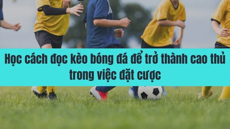 cách đọc kèo bóng đá