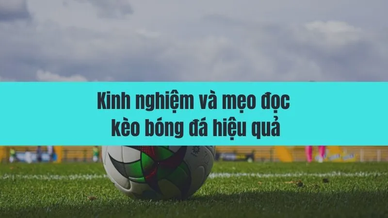 cách đọc kèo bóng đá