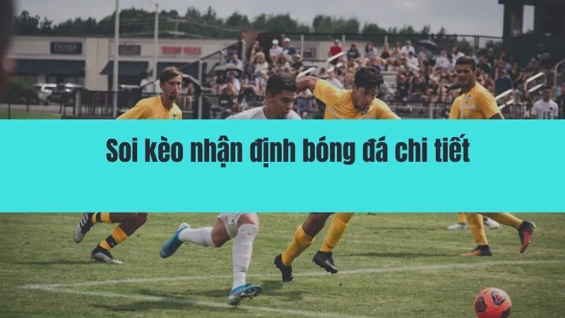 soi kèo nhận định bóng đá